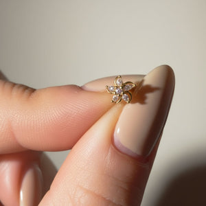 2er Nosepiercing Bundle