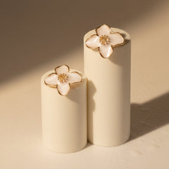 Daisy flower